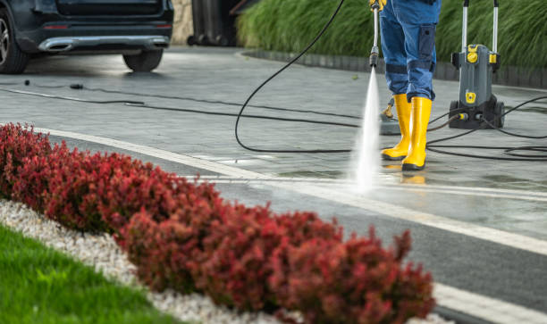Spring Cleaning in Blue Ridge, TX